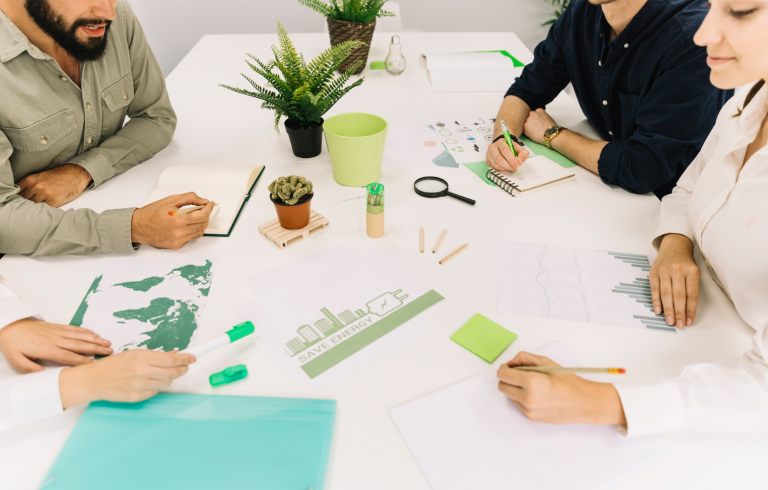 Sustainability and Organization Design: Is there a Connection?